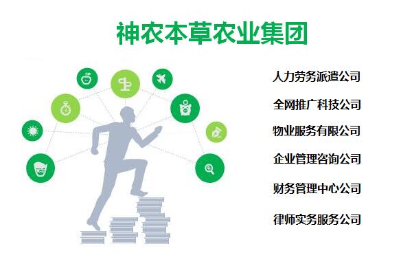 衡水加盟神农本草加盟